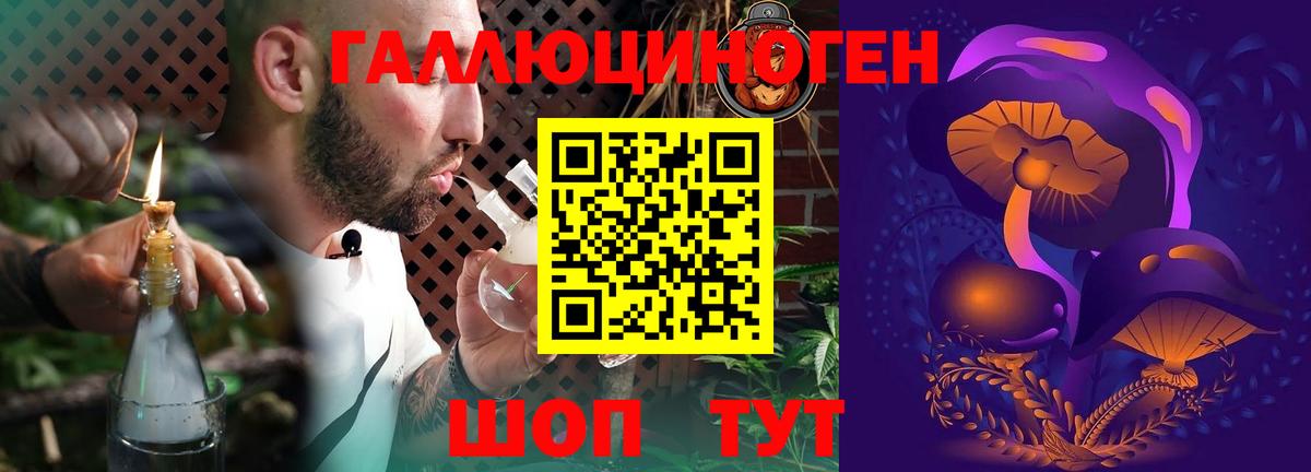 Галлюциногенные грибы прущие грибы Назрань