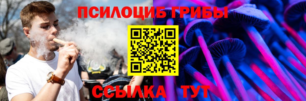 Галлюциногенные грибы Cubensis  Вход с VPN  Назрань 